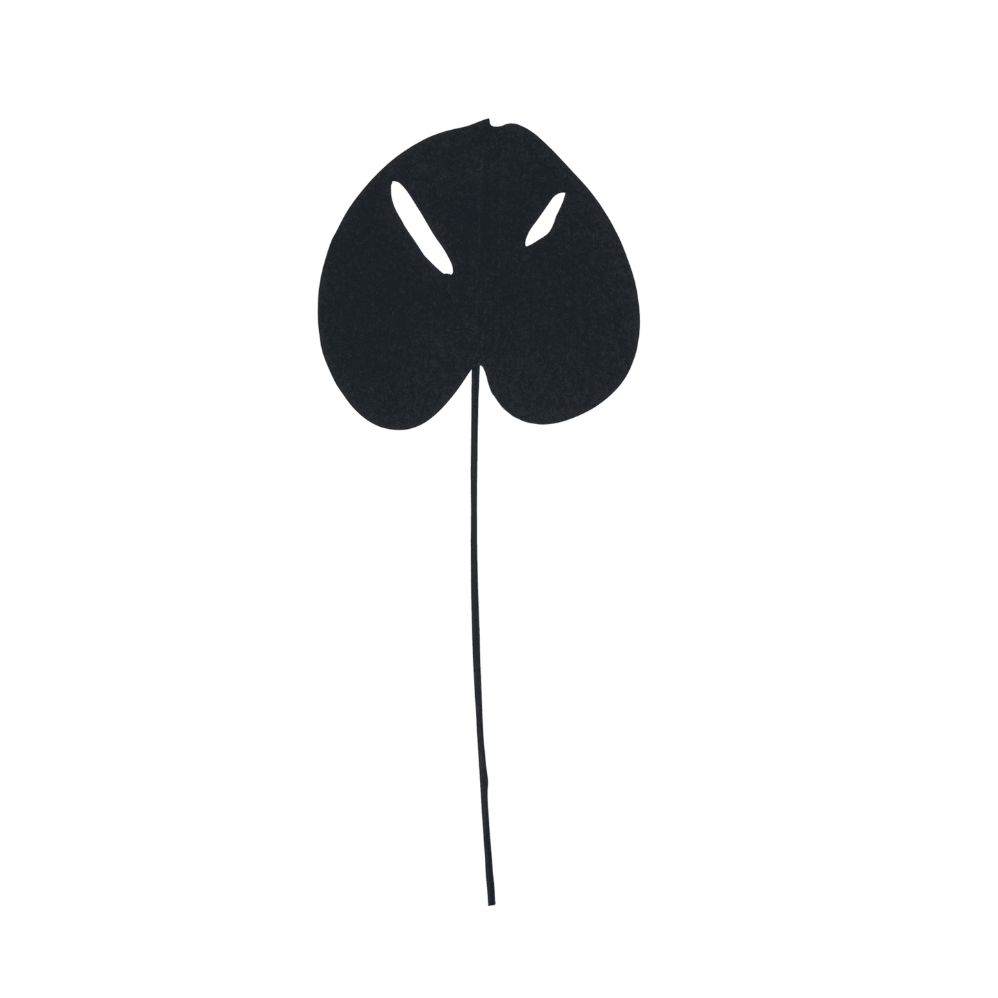 Planta recycled paper Monstera, Black (set of 6)