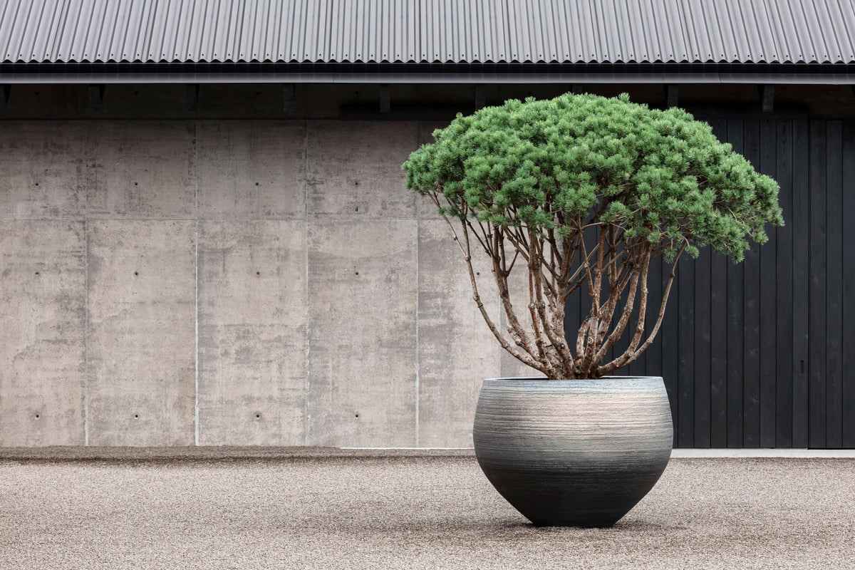 Nuuk Planter by Domani