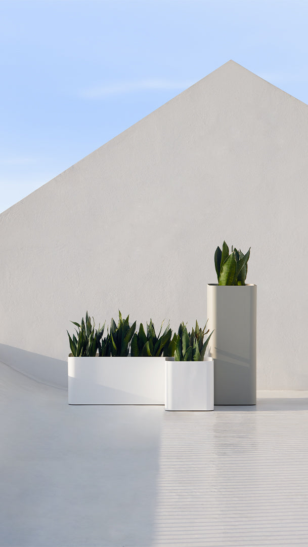 Sonora planter, image: Gandia Blasco