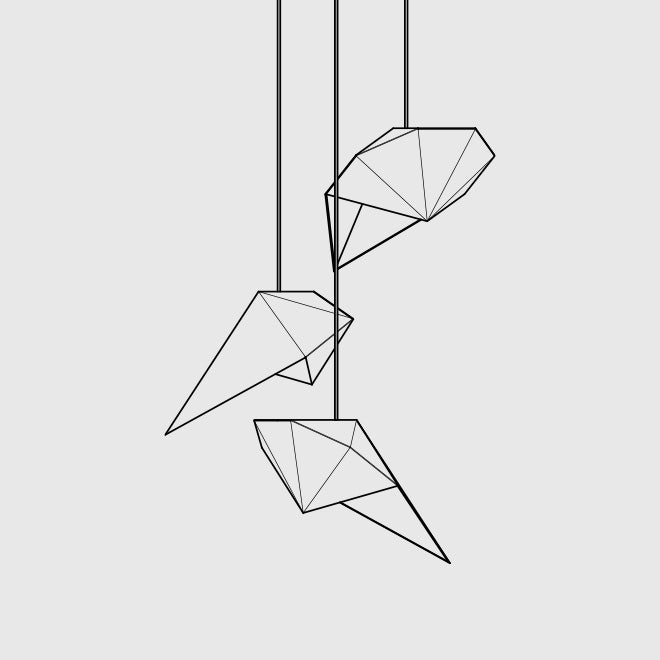 ROSELLA Image