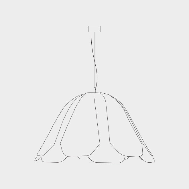 TULIP Image