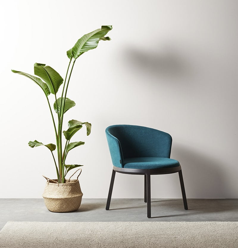 Capdell Aro Lounge Chair, upholstered, image: Capdell
