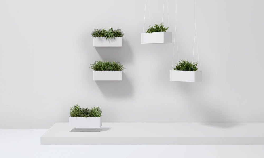 Systemtronic Green Light Planter