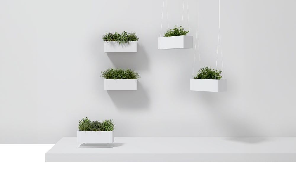 Systemtronic Green Light Planter