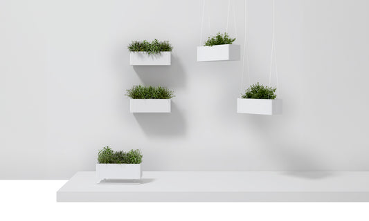 Systemtronic Green Light Planter