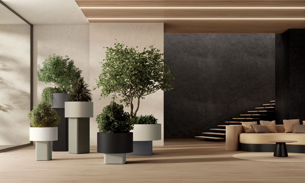 Systemtronic Verissimo Planter