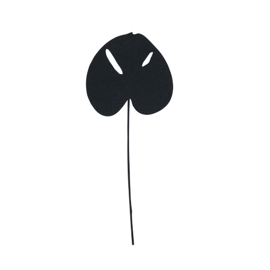 Planta recycled paper Monstera, Black (set of 6)