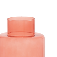 Vase Vidro B1 Rose Dawn