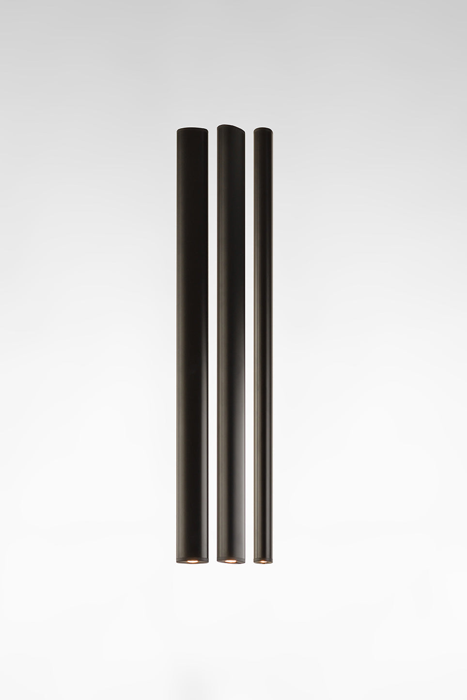 PARALLELS - profiles | Photo: Rakumba