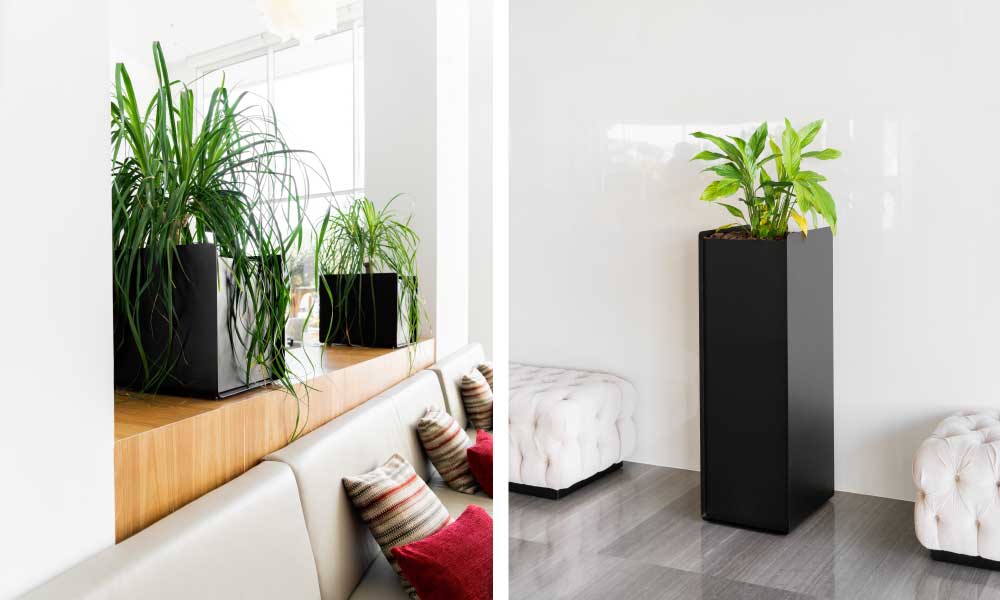Systemtronic Crepe Planter