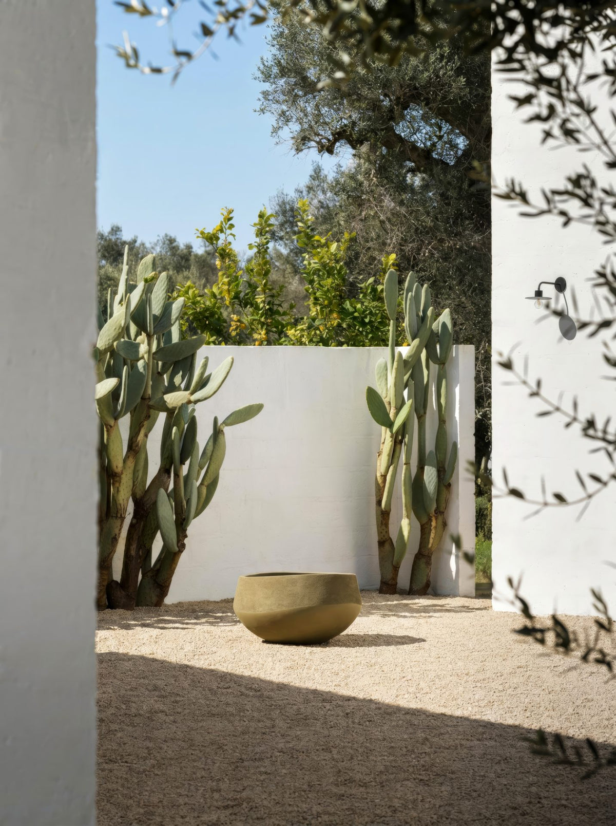 Atlantis Natural Planter by Domani
