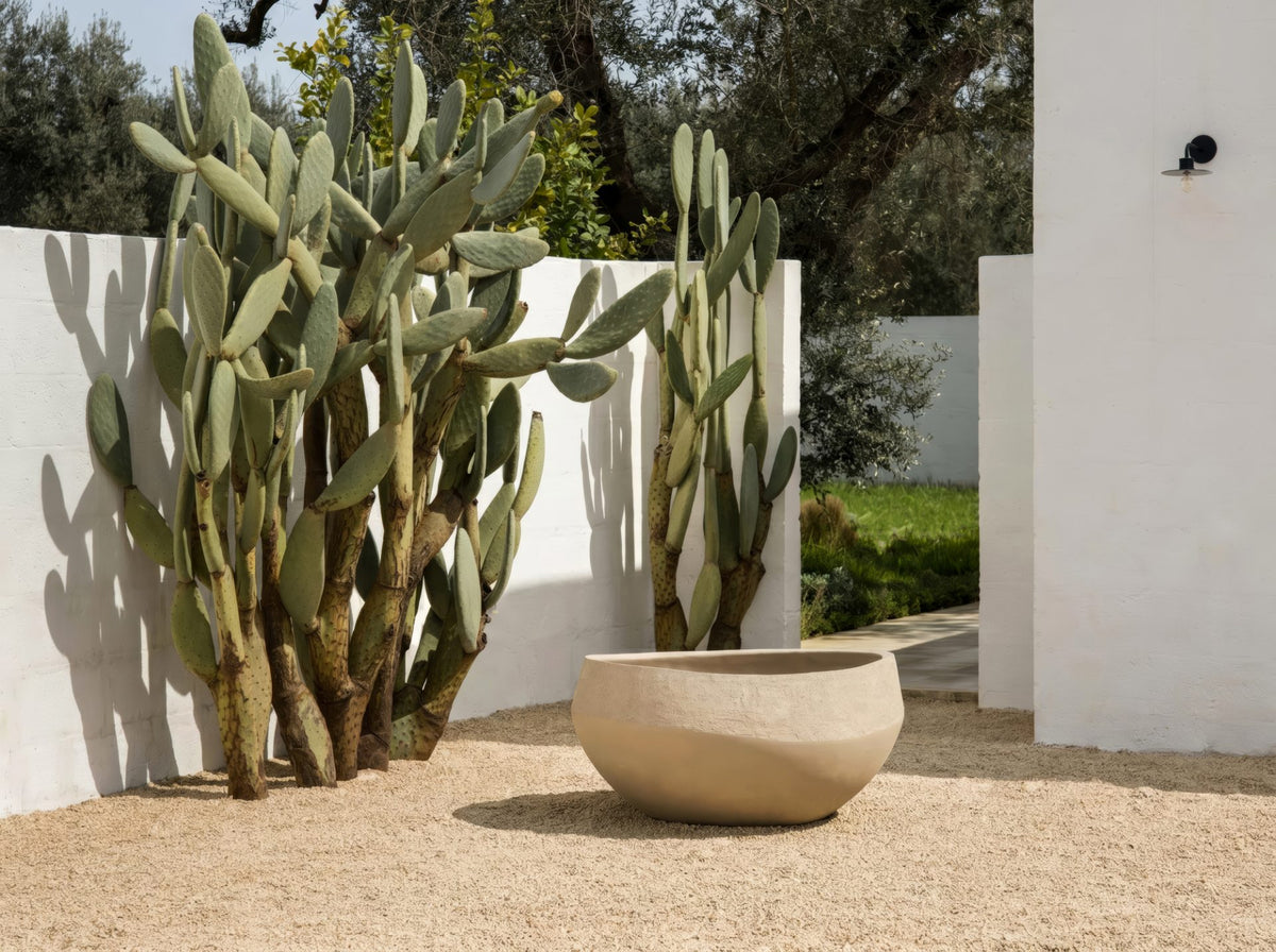 Atlantis Natural Planter by Domani