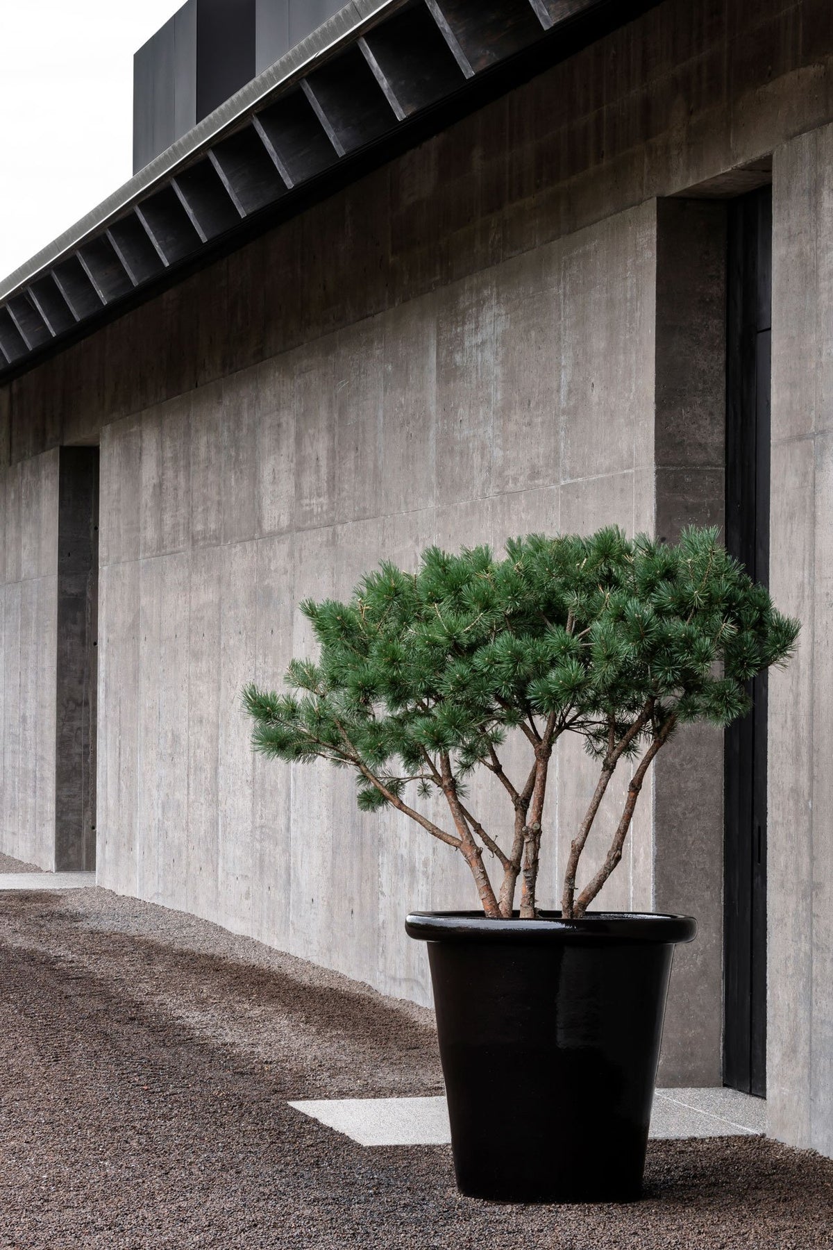 London Planter by Domani