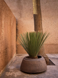 Nagori Planter by Domani