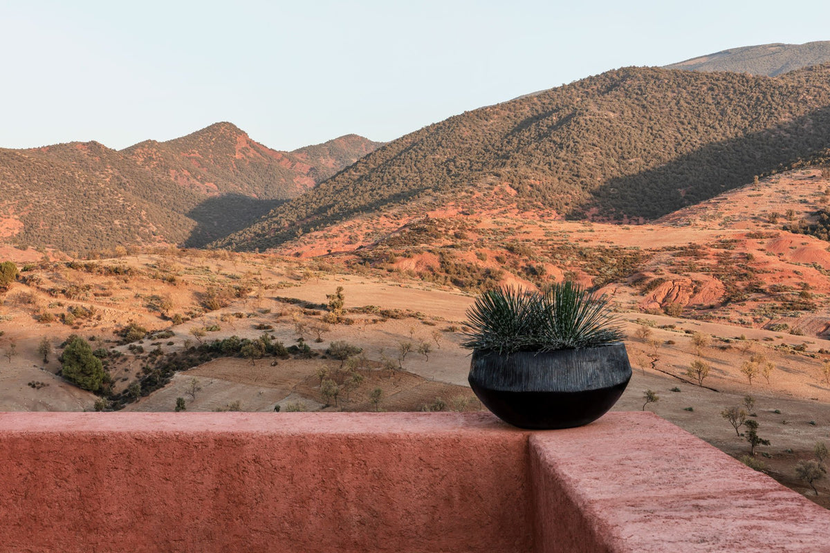 Atlantis Planter by Domani