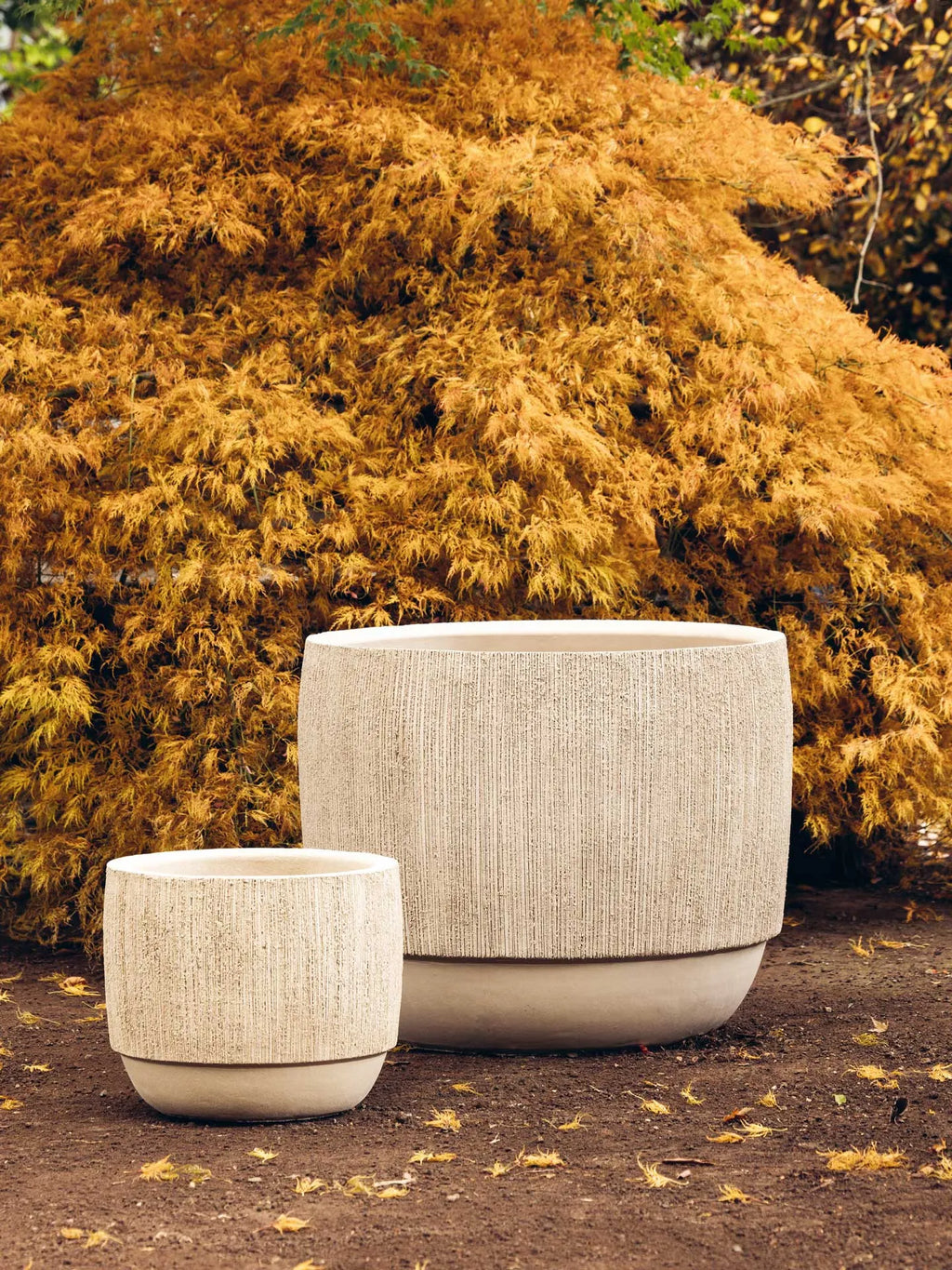 Piet Boon by Domani MOYA pots Natural White in a garden, in situ
