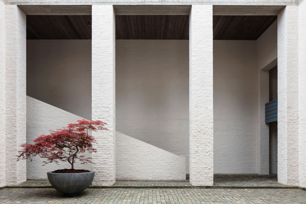 Half Bowl Planter by Domani