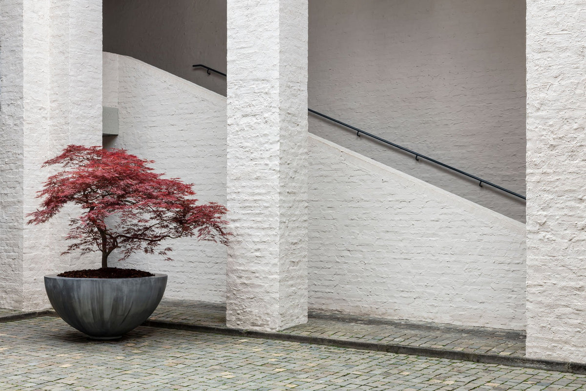 Half Bowl Planter by Domani
