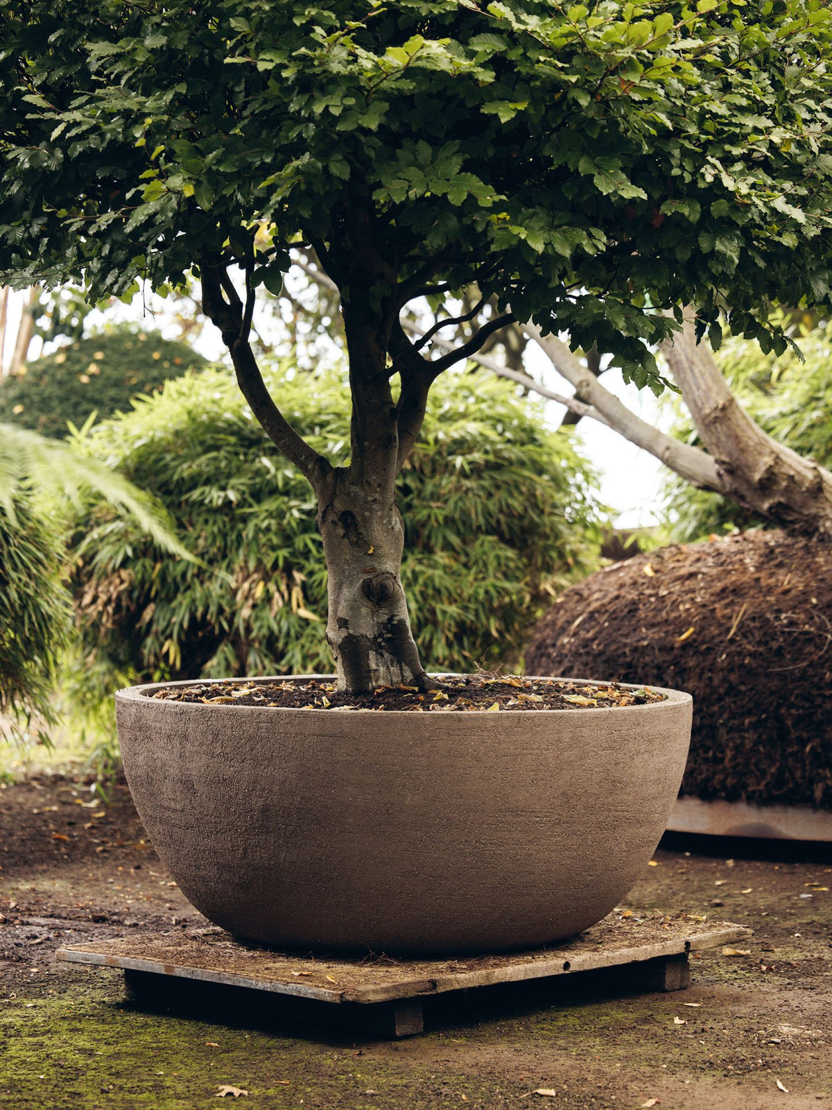 Texel Planter by Domani
