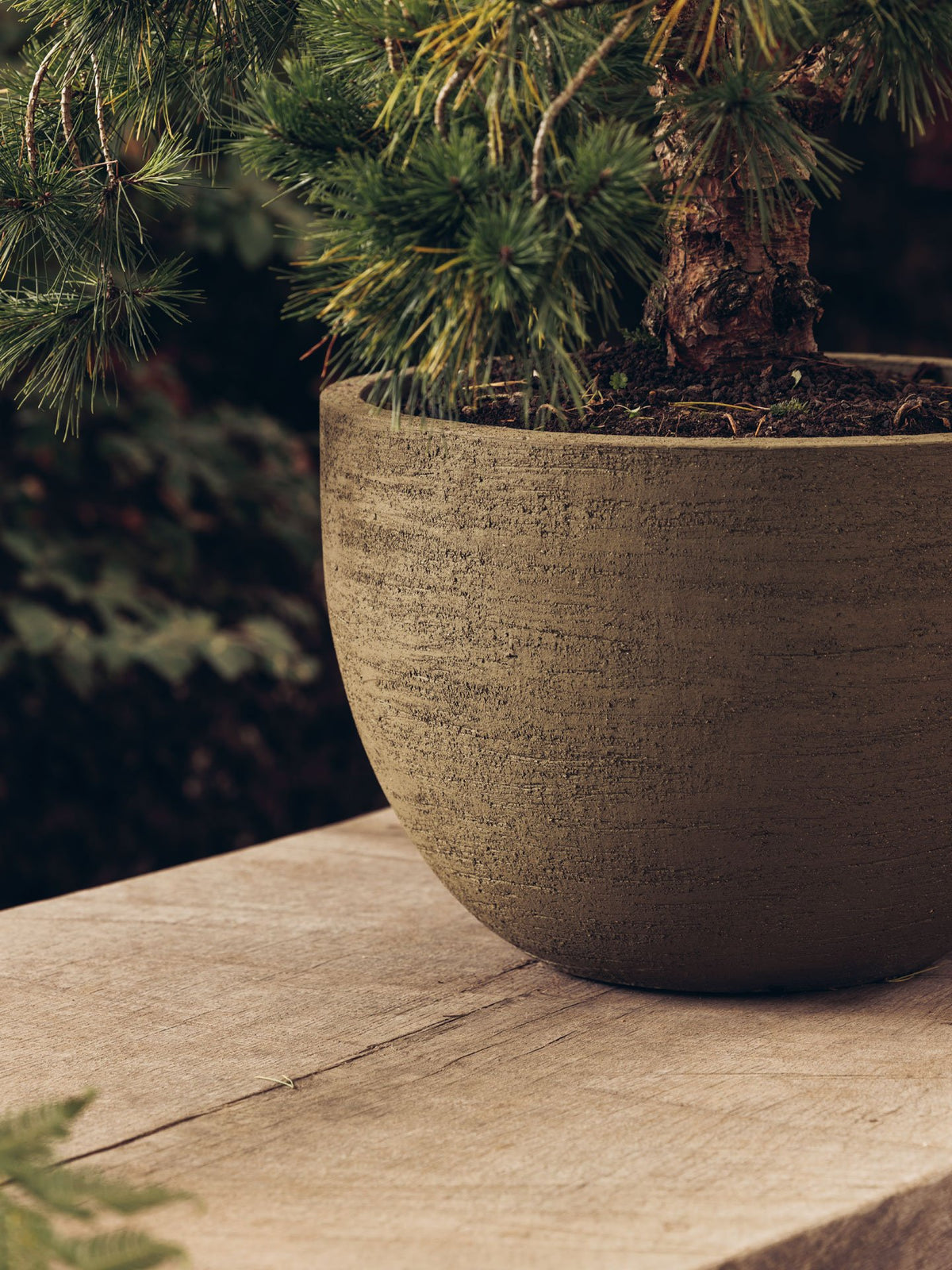 Texel Planter by Domani