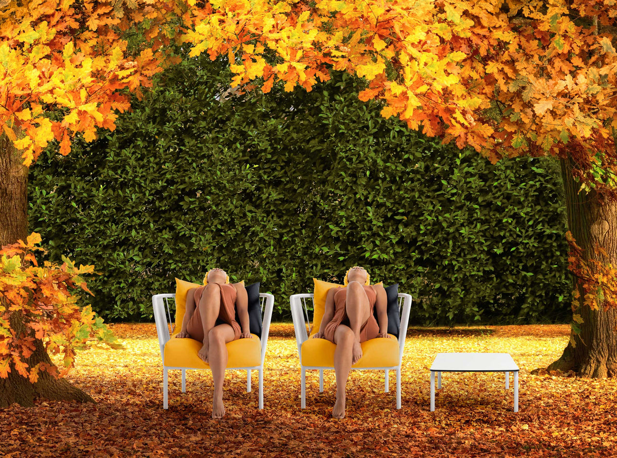 Diabla Arp Lounge Chair