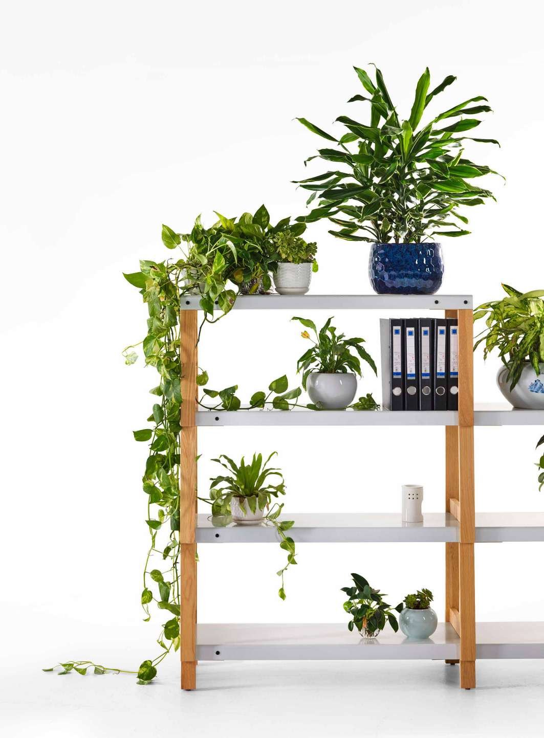 Derlot Fit Shelf