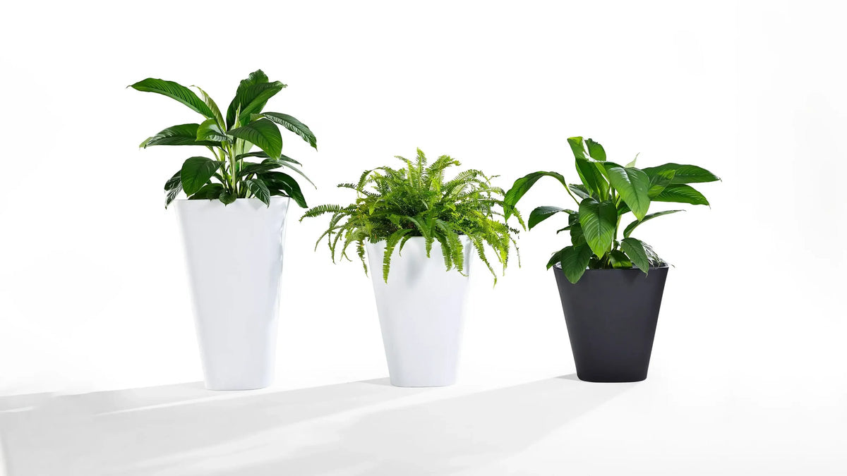 Derlot Kono Planter