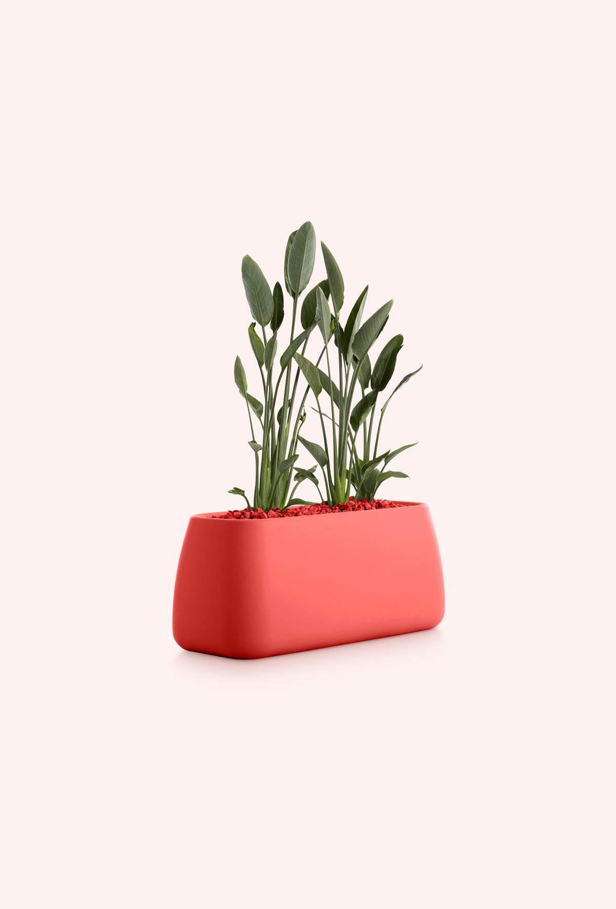 Diabla Gobi 5 planter in red