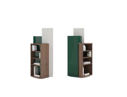 Punt Ballet Bookshelf