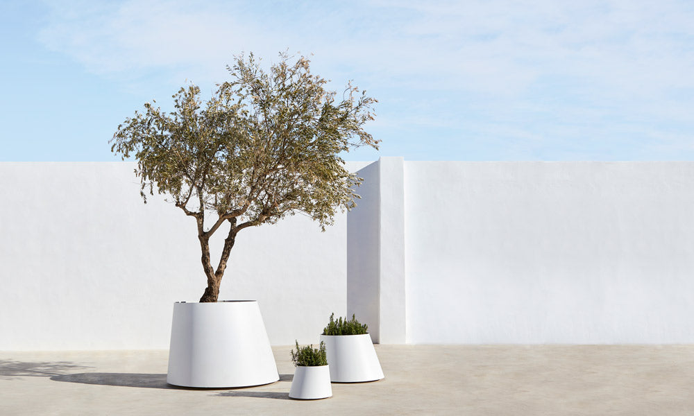 Systemtronic Conee Planter