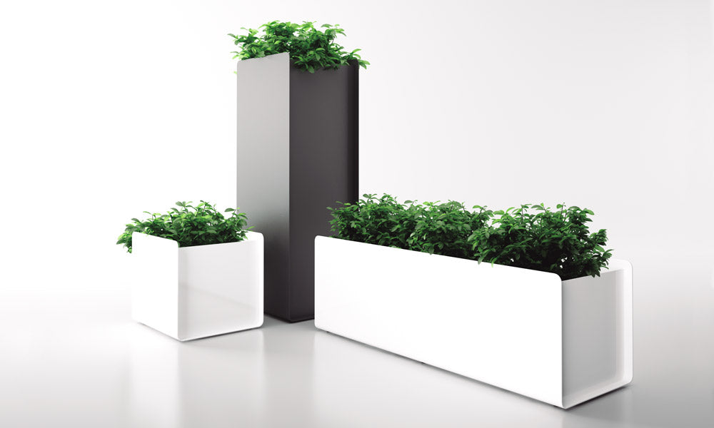 Systemtronic Crepe Planter