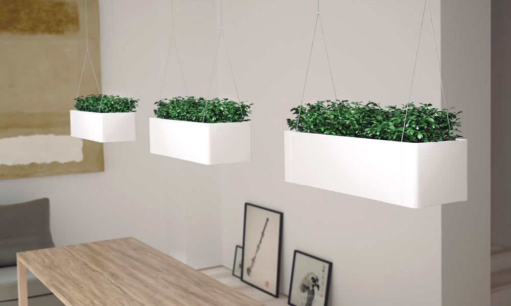 Systemtronic Green Light Planter