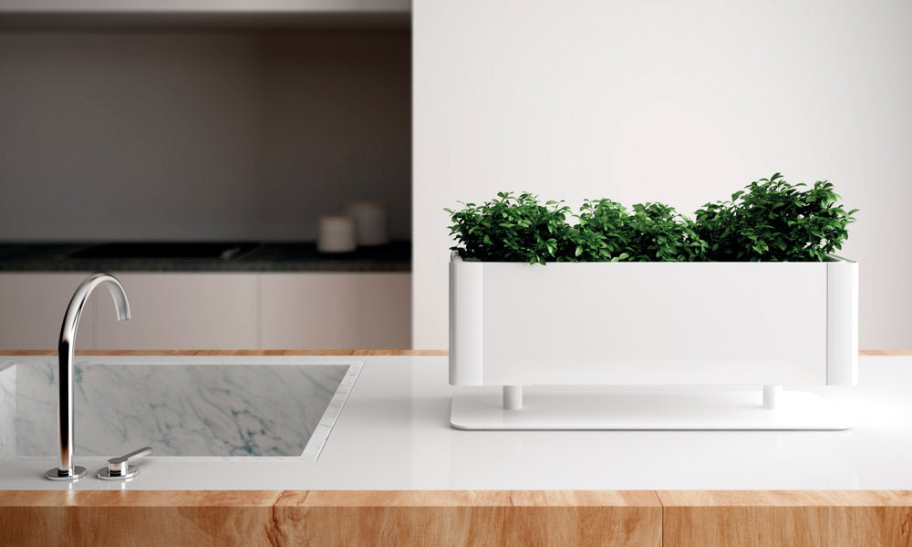 Systemtronic Green Light Planter