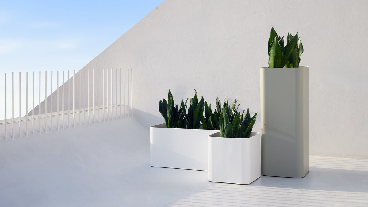 Sonora planter, image: Gandia Blasco