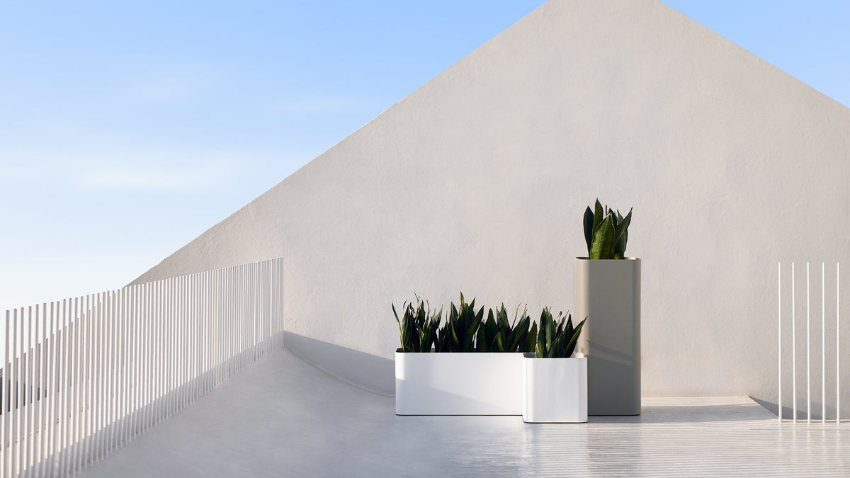 Sonora planter, image: Gandia Blasco