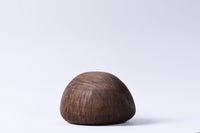 Zanat Riccio Sculpture and Bookend