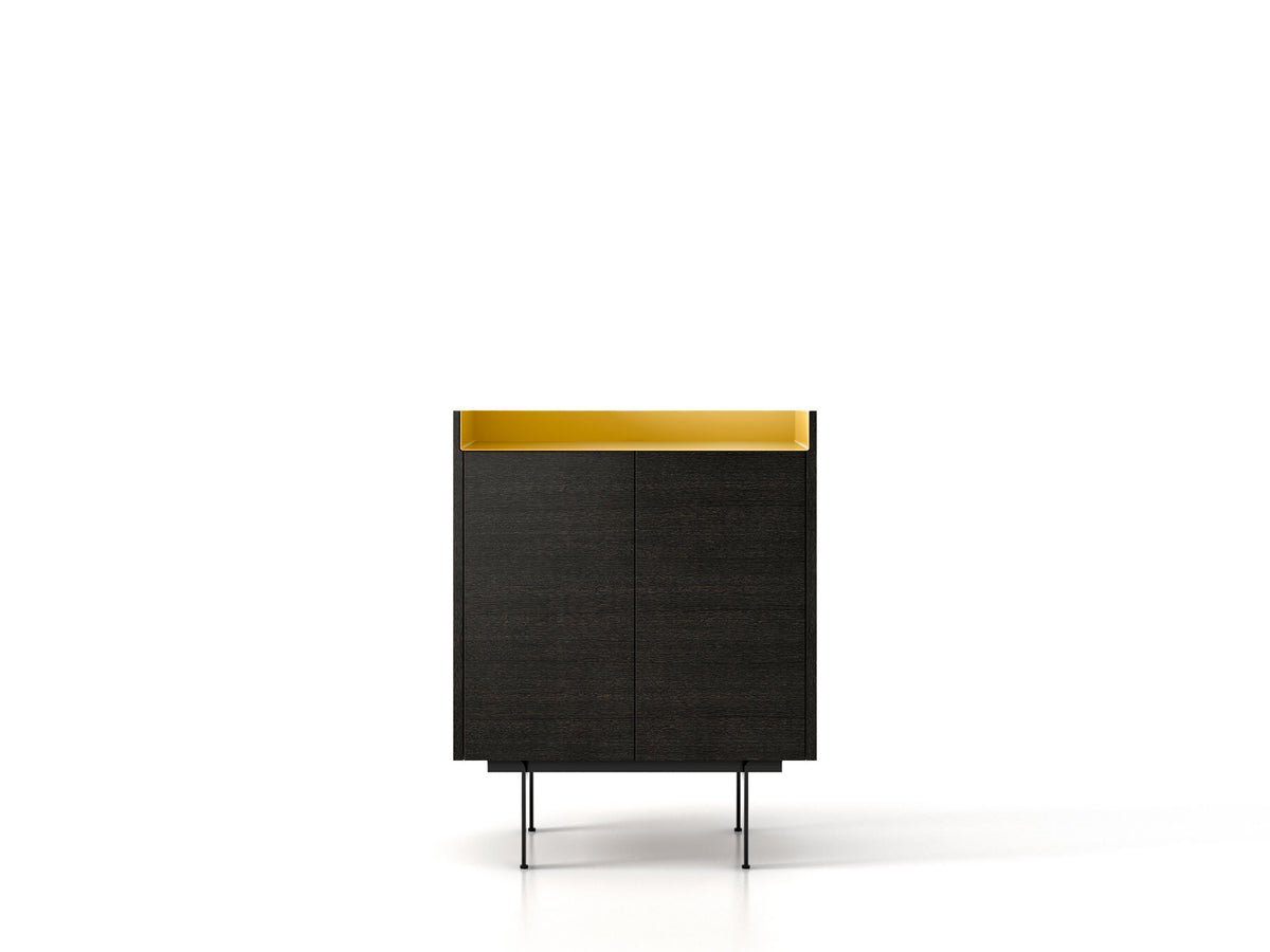 Punt Stockholm Cupboard